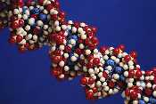 Double-Helix DNA